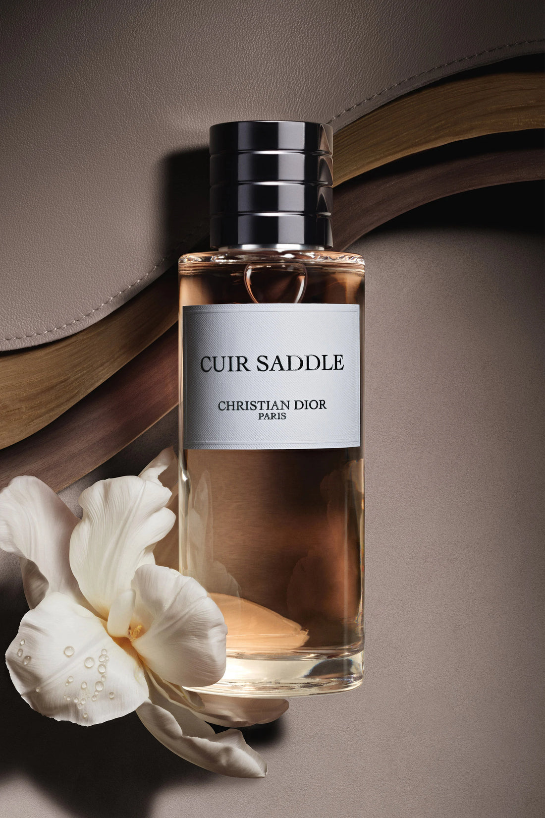 Christian D. Cuir Saddle