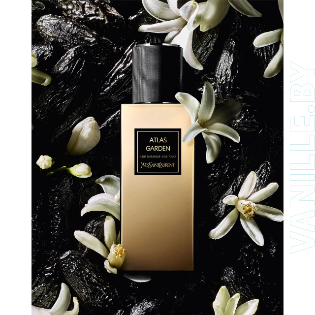YSL - Atlas Garden
